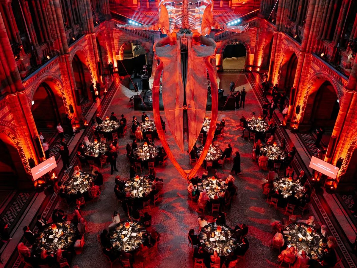 Gala dinner tables beneath the blue whale skeleton in Hintze Hall, lit in deep red for Awakening Music's 25th anniversary