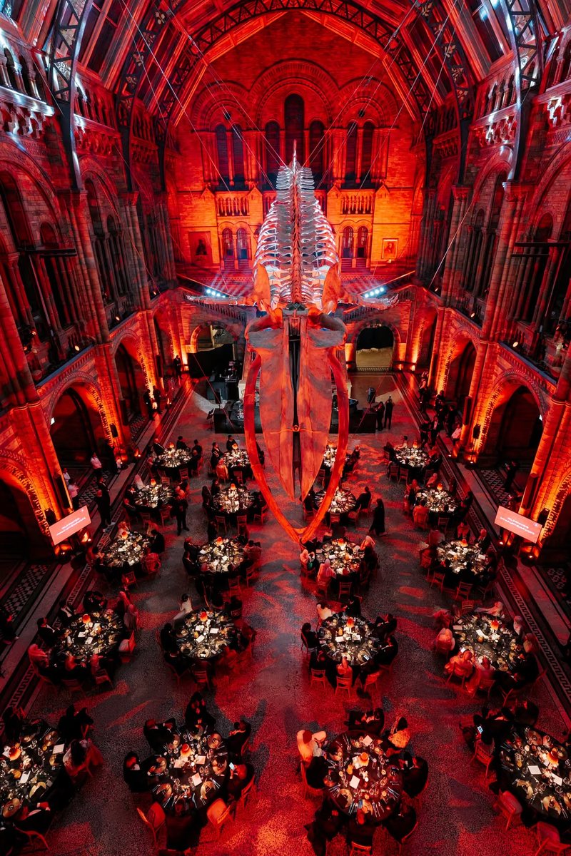 Hintze Hall from above, 36 round tables lit in red under Hope the blue whale
