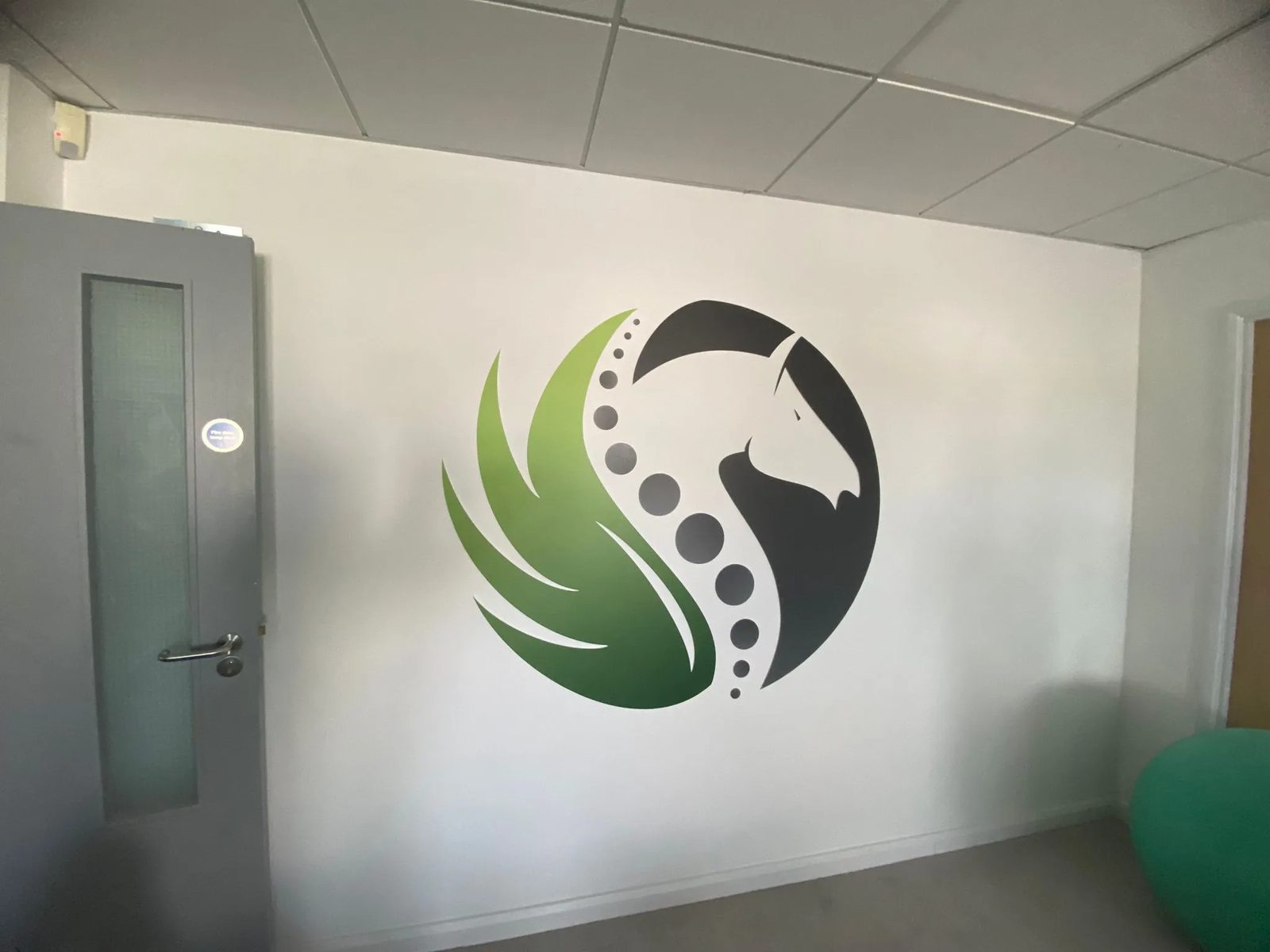 Large Pegasus horse logo wall graphic inside the clinic